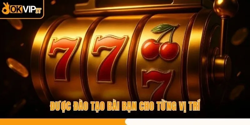 Được đào tạo bài bạn cho từng vị trí