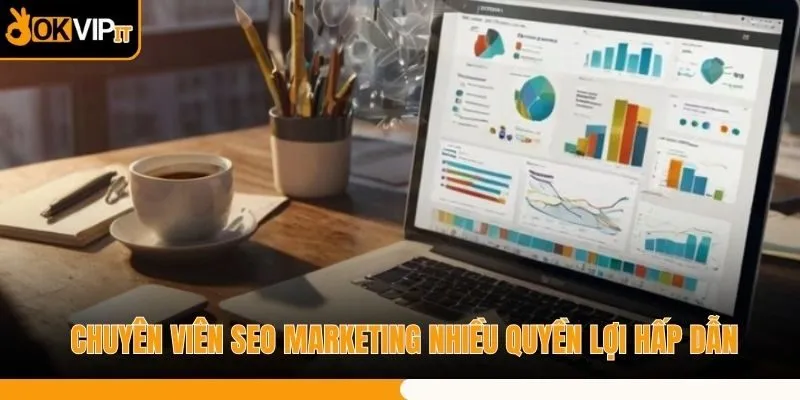 Chuyên viên SEO Marketing nhiều quyền lợi hấp dẫn