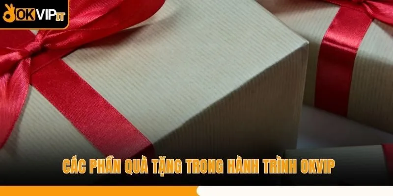 Các phần quà tặng trong hành trình OKVIP