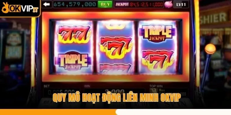 Quy mô hoạt động liên minh OKVIP