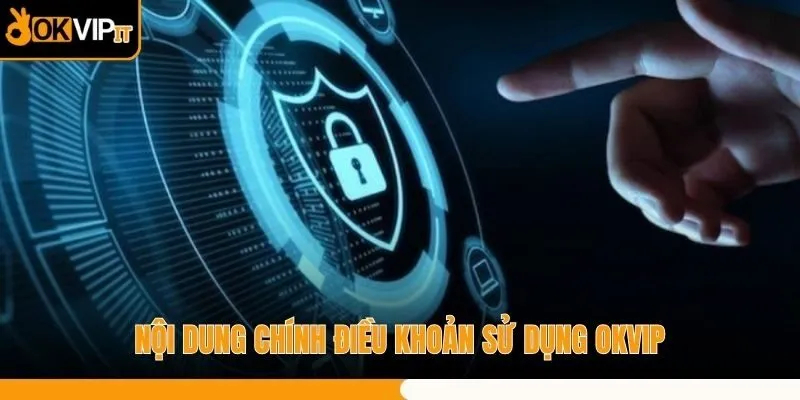 Nội dung chính điều khoản sử dụng OKVIP